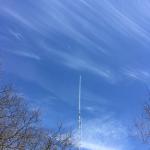 IMG_0287